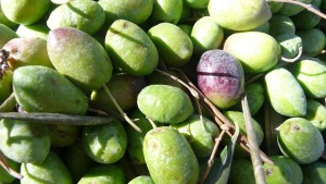 Olívaolaj